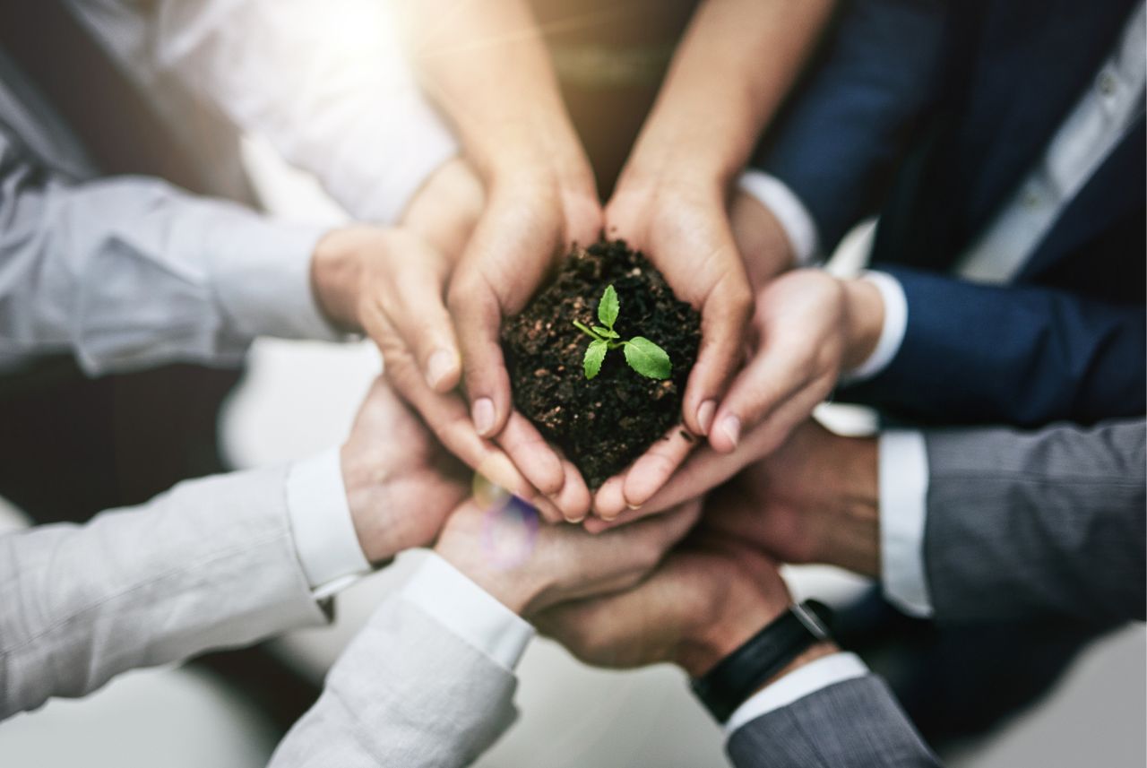 group of hands holding a pile of dirt with a small green plant growing out of it